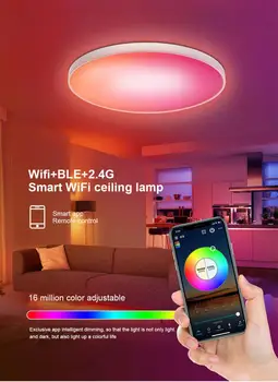 WIFI Smart Lakke LED Light Magamistuba RGB Juhitava Valguse elutuba Flush Mount Smart laevalgusti Tööd Alexa Google Kodu